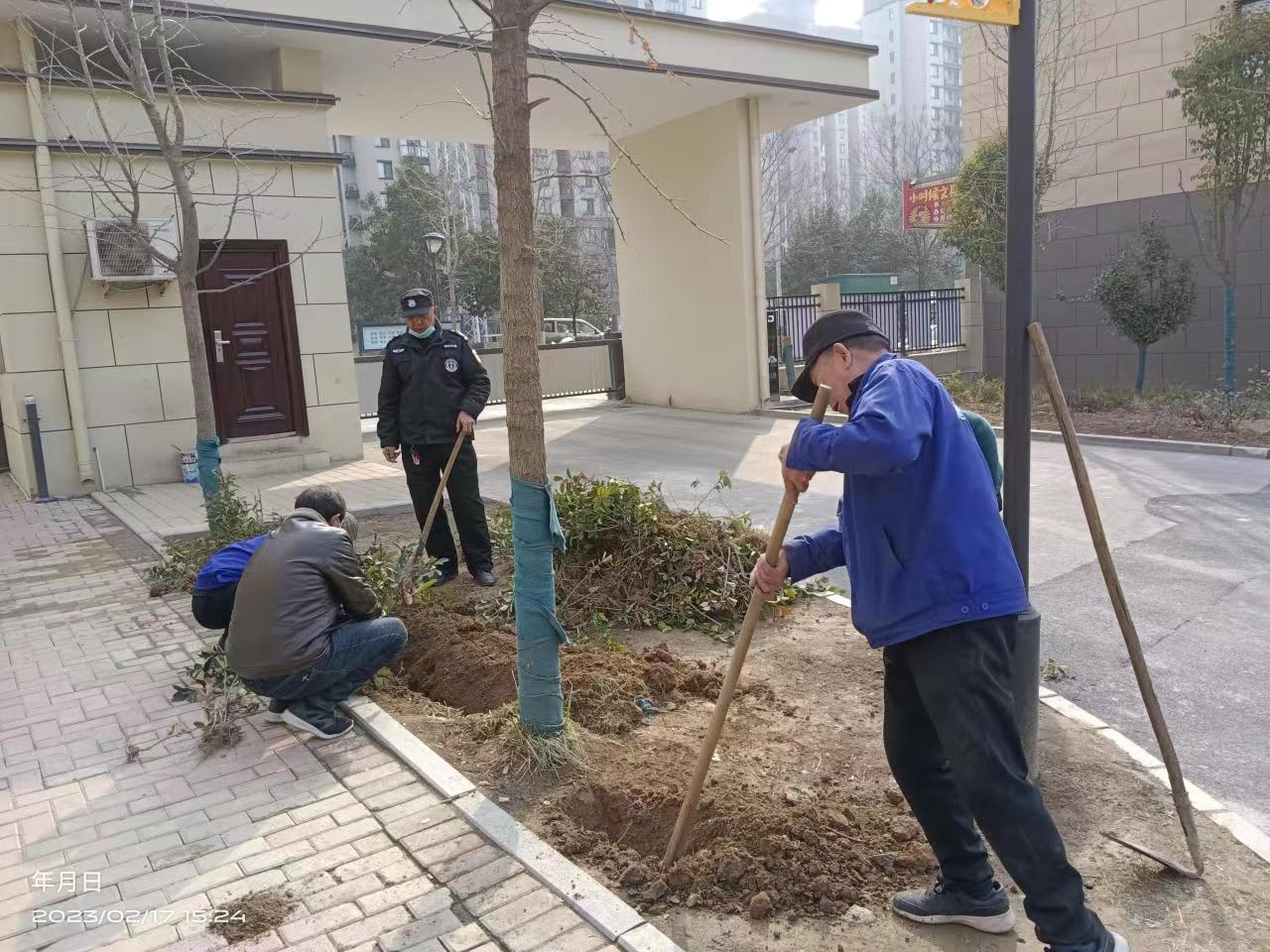 黄色国产免费观看物業----綠化服務（wù）